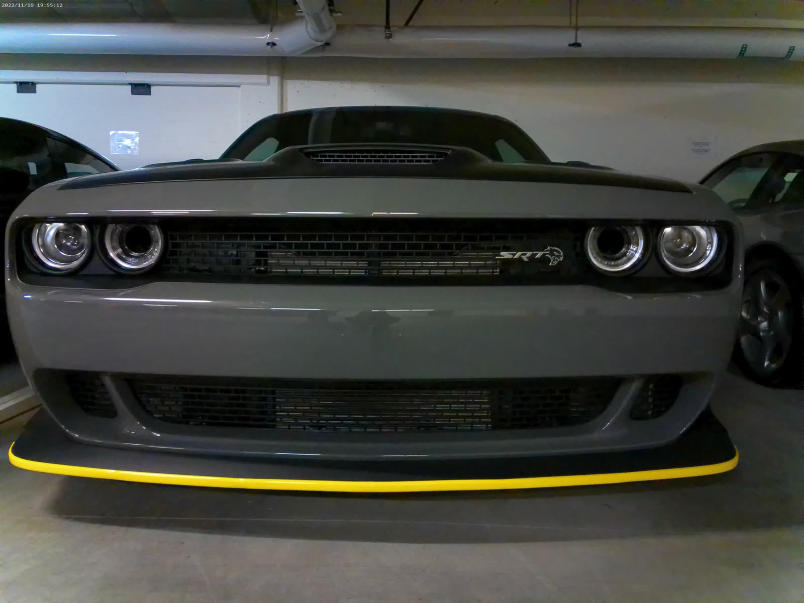 Sports car front grill cleaned with bug removal an polish