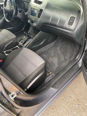 Carpet shampooing and stain removal during interior detailing
